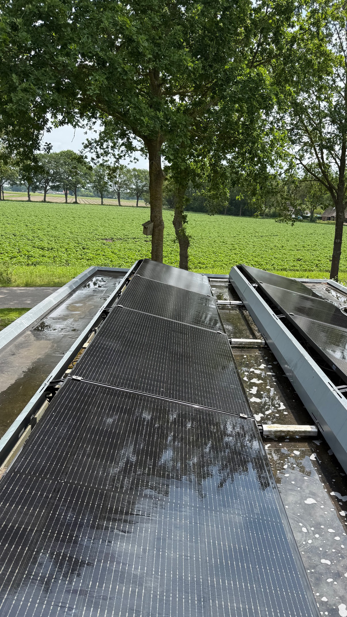 Zonnepanelen tijdens een zorgvuldige reiniging